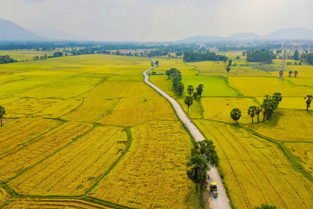 1 hecta bằng bao nhiêu mẫu