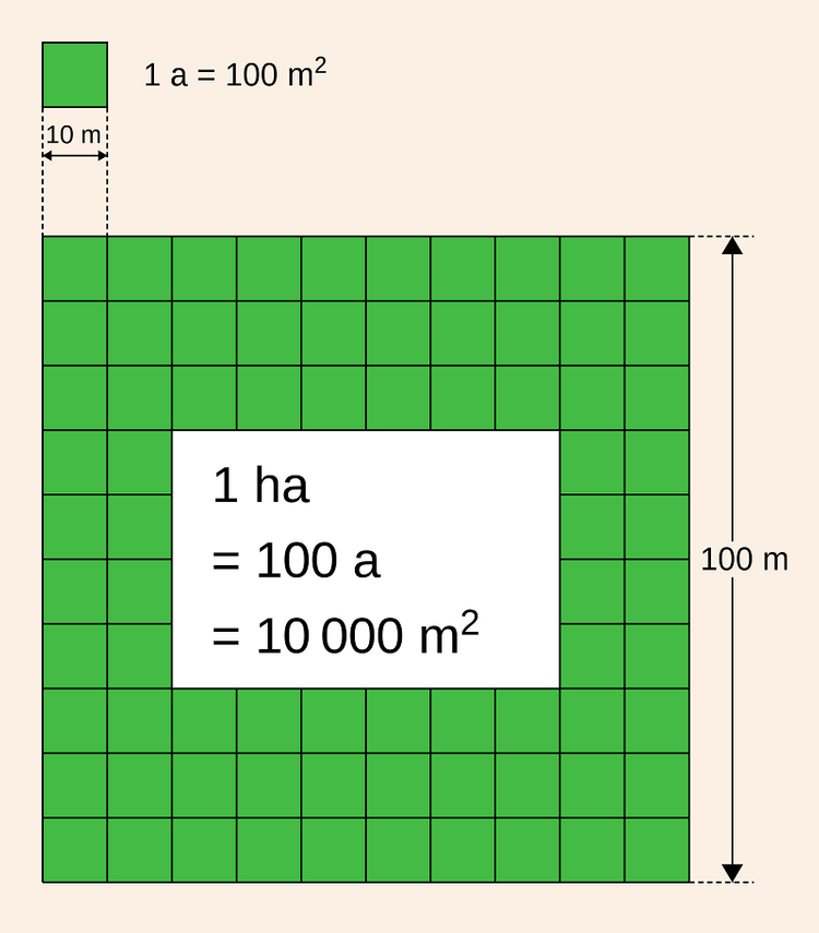 1 hecta bằng bao nhiêu mét vuông (m2)?