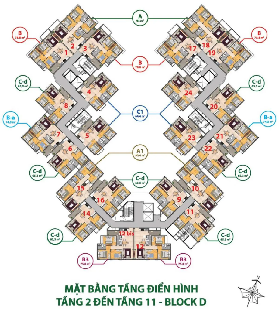 Mặt bằng tầng 2-11 block D Ruby Precinct