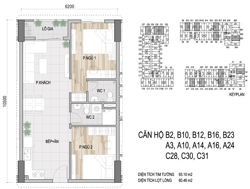 Mặt bằng chi tiết căn hộ B2, B10, B12, B23, A3, A10, A14, A15, A24, C28, C30, C31