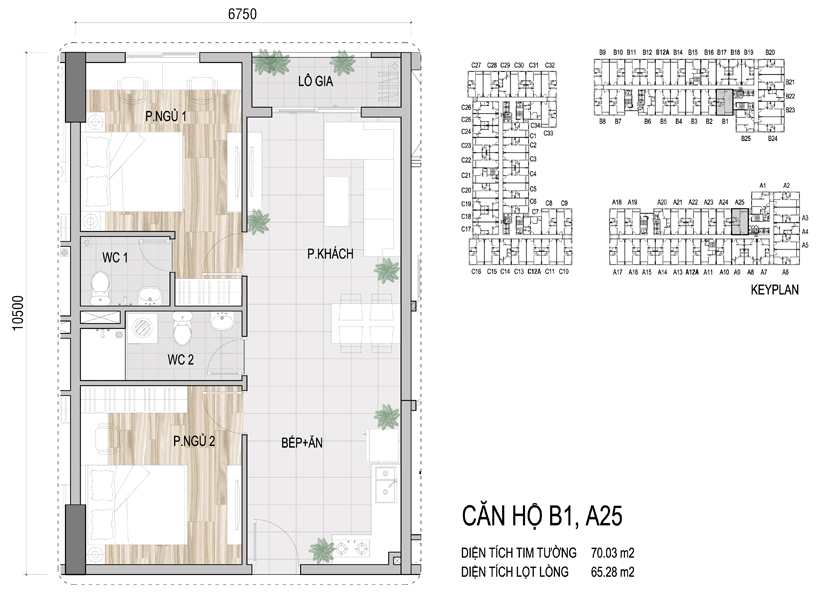 Mặt bằng chi tiết căn hộ B1, A25