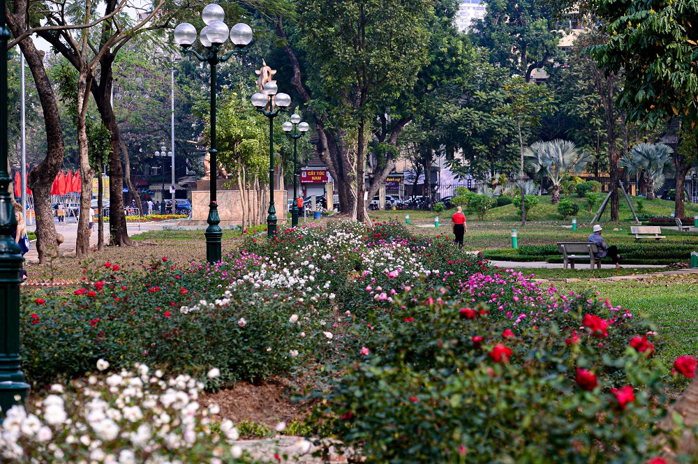 Công viên nội khu