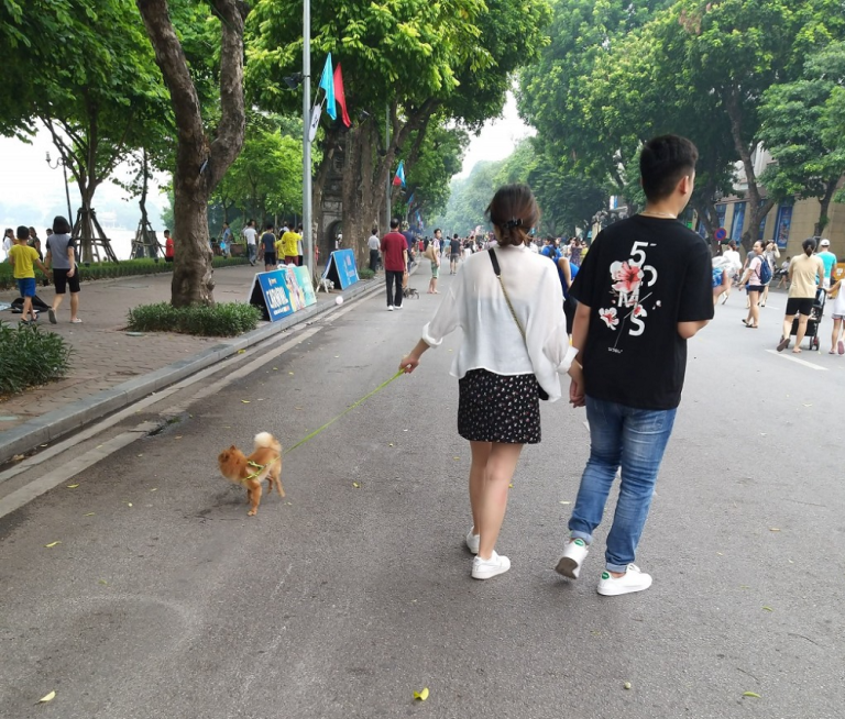 Danh sách các dự án chung cư cho nuôi thú cưng tại TPHCM chung cư cho nuôi thú cưng