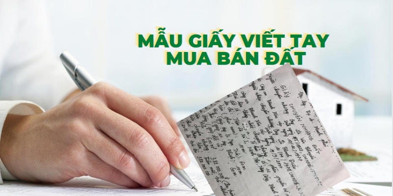 Nội dung trong mẫu chuyển nhượng đất viết tay