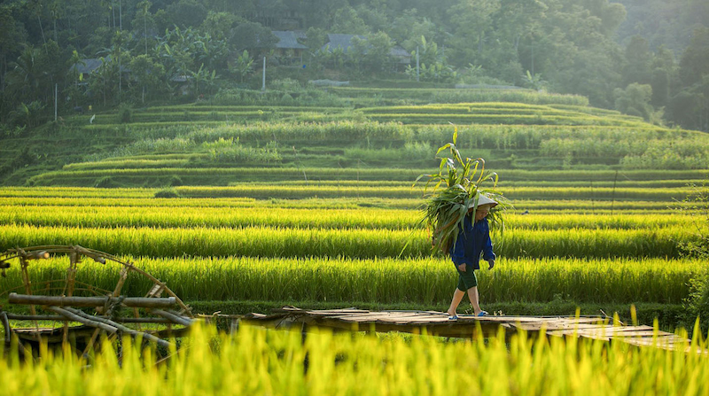 Đổi công đất ra mẫu đất