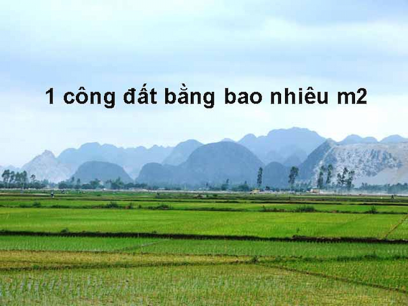 Quy đổi công đất ra mét vuông