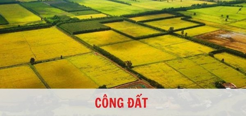 Thế nào là công đất?