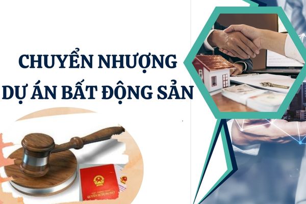 Đất đấu giá được phép chuyển nhượng 