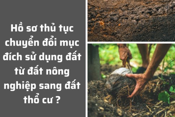 Hồ sơ xin chuyển đổi mục đích sử dụng đất thổ cư