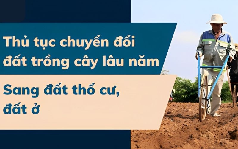 Việc chuyển đổi sang đất thổ cư sẽ gặp nhiều khó khăn