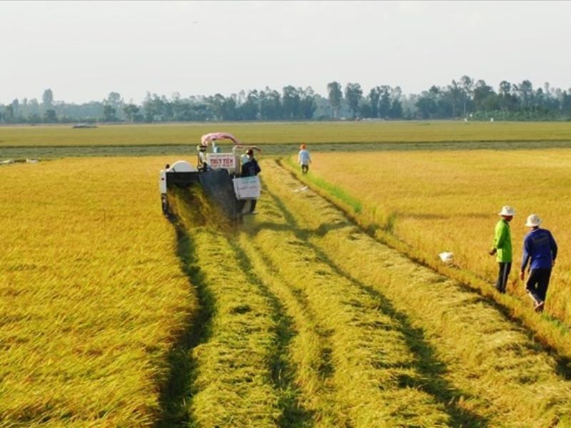 Đất nông nghiệp cũng được sử dụng vào nhiều mục đích khác