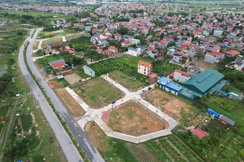 đấu giá đất