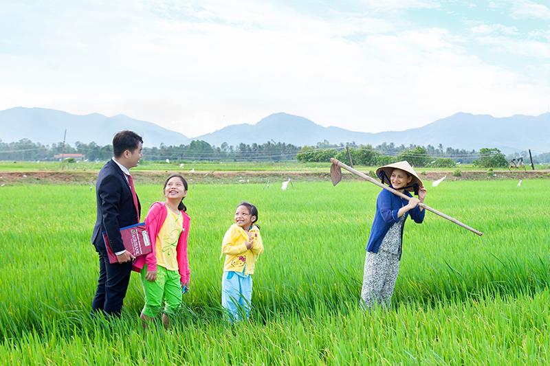 Quy trình, thủ tục vay thế chấp đất nông nghiệp tại ngân hàng gồm 6 bước