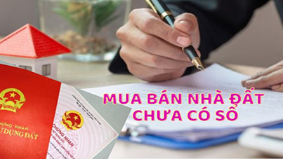 Thủ tục mua bán nhà không có sổ đỏ