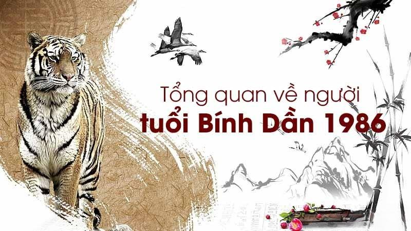 Tuổi 1986 làm nhà năm 2025 cần lưu ý những gì?