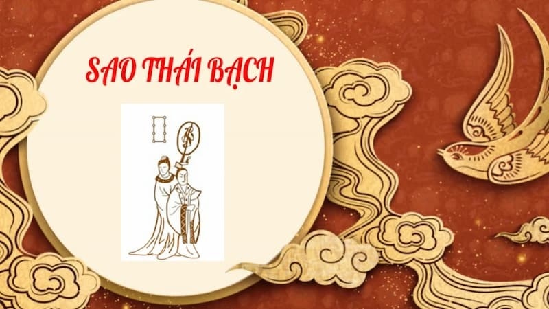 nhung-viec-nen-va-khong-nen-lam-khi-bi-sao-thai-bach-chieu