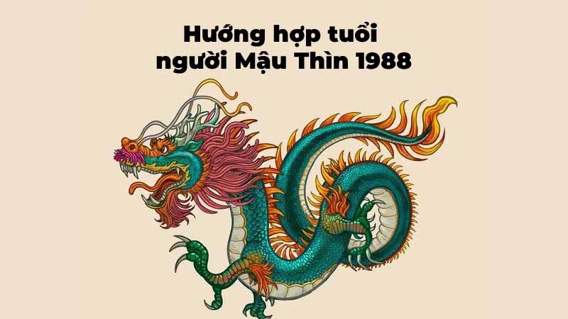 tim-hieu-ve-tuoi-mau-thin-1988