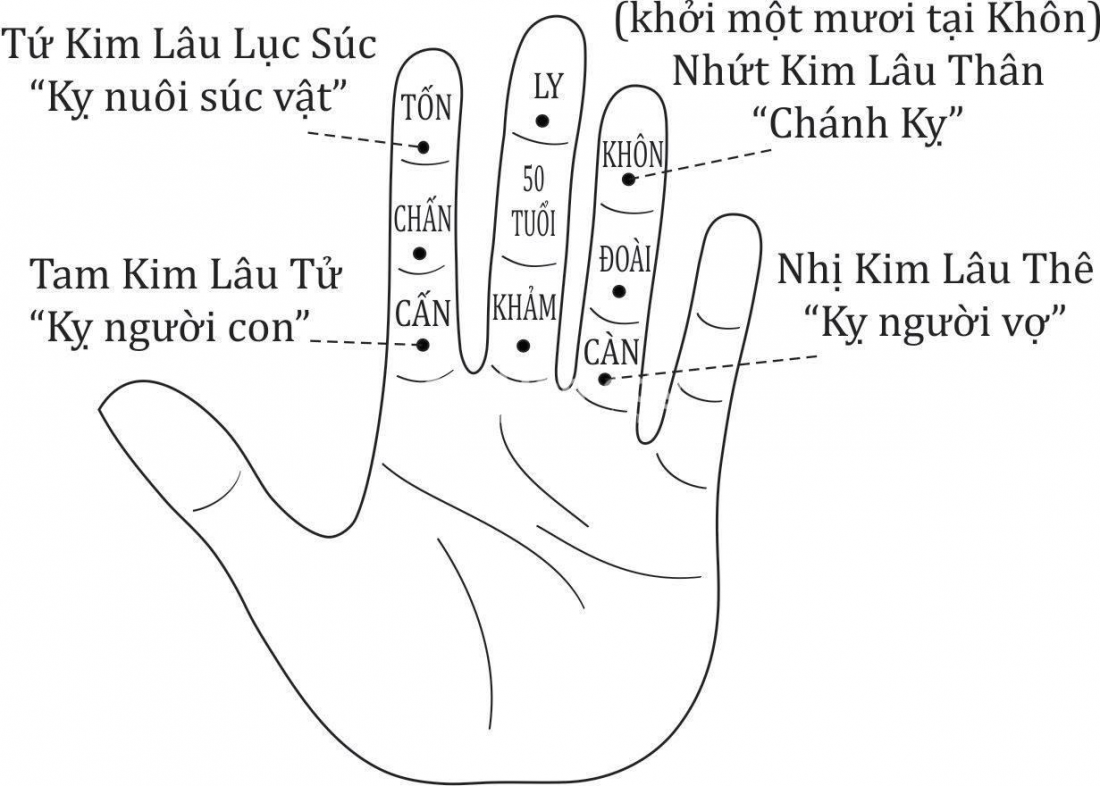 Gia chủ tuổi Quý Dậu 1993 xây nhà năm 2025 sẽ phạm phải Kim Lâu