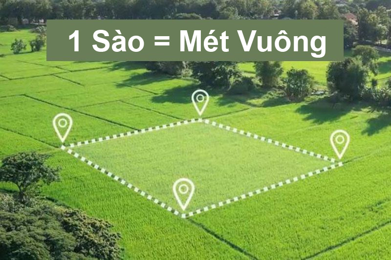 1 sào ruộng bao nhiêu mét vuông