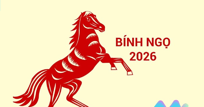 Tong-quan-ve-nam-2026-Binh-Ngo