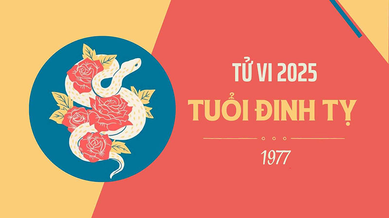 Tong-quan-ve-tuoi-Dinh-Ty-1977