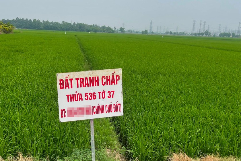 Tranh chấp đất đai là một trong những vấn đề pháp lý phổ biến tại Việt Nam