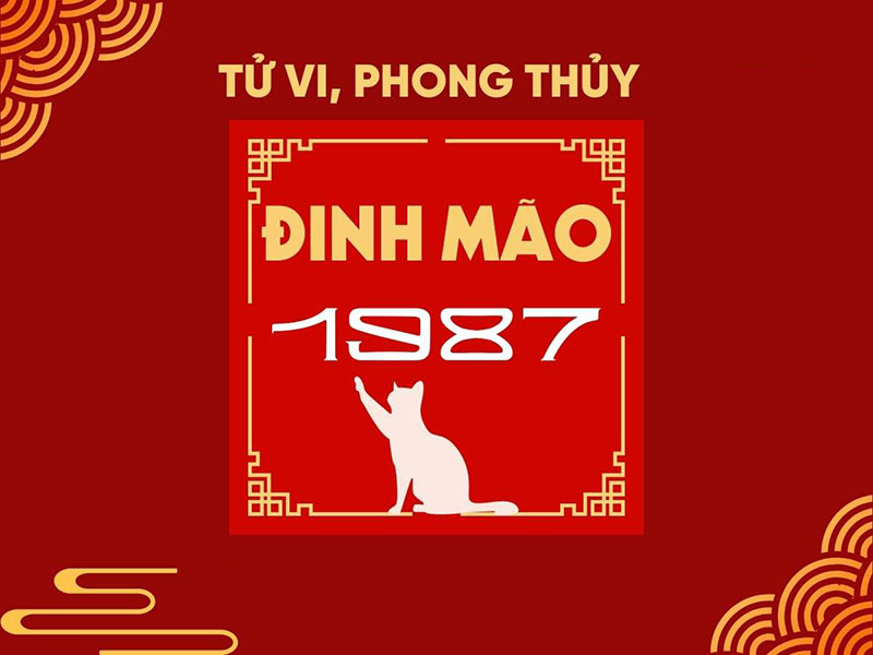 Tong-quan-ve-tuoi-Dinh-Mao-1987