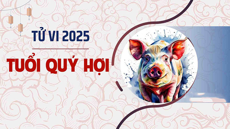 Tử vi 2025 tuổi quý hợi