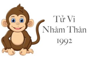 tử vi nhâm thân 1992