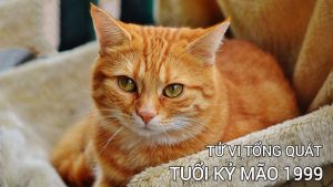 tử vi tuổi kỷ mão 1999