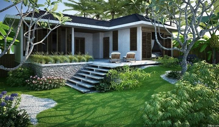 Lựa chọn các loại cây quen thuộc để trang trí tạo cảm giác gần gũi