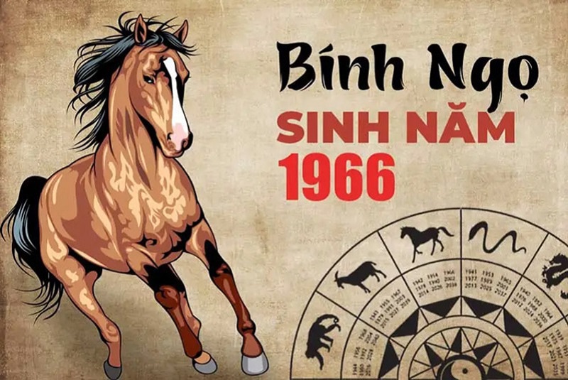 Tong-quan-ve-tuoi-Binh-Ngo-1966-va-nam-2026