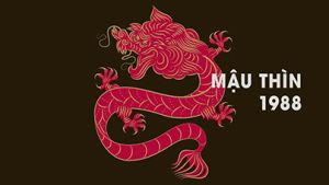 anh-img-tuoi-Mau-Thin-1988-lam-nha-nam-2026