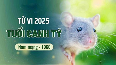 tử vi tuổi canh tý 1960