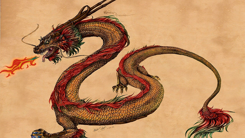 Tong-quan-ve-tuoi-Canh-Thin-2000