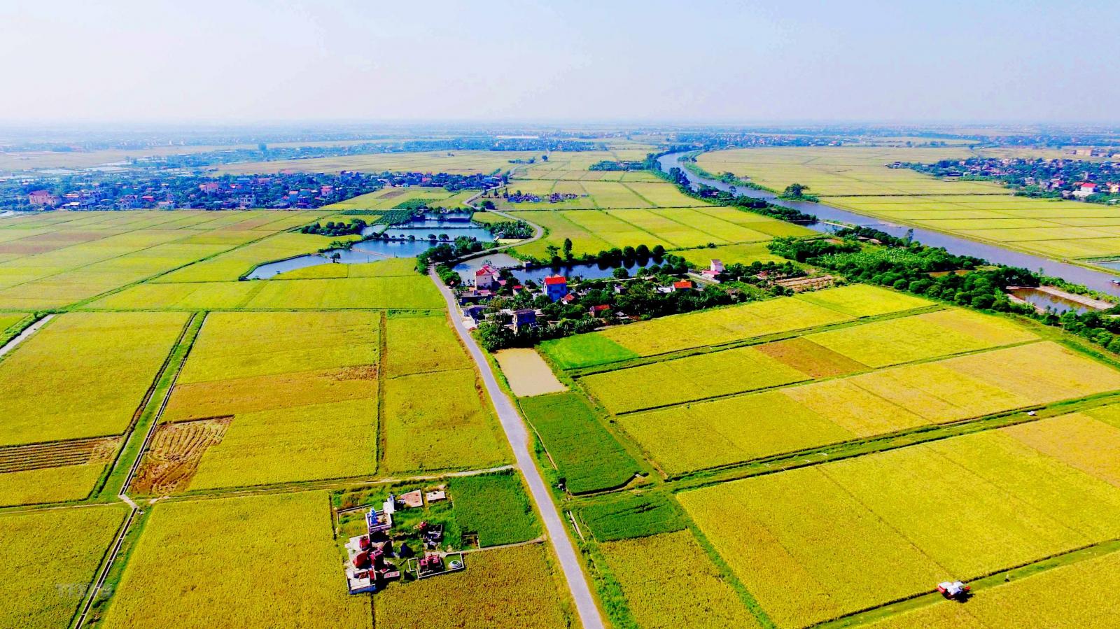 Khả năng chuyển đổi mục đích sử dụng lên đất thổ cư sẽ dễ dàng hơn trong năm 2025