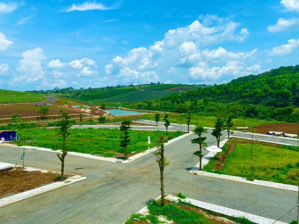 BL Park Hills 6 (Lộc Quảng)
