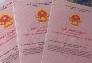 cấp sổ đỏ