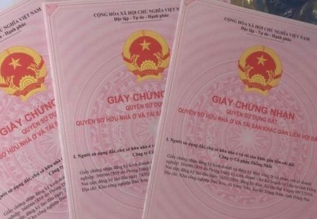 cấp sổ đỏ