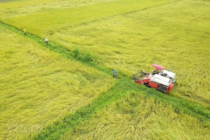 Giá đền bù đất trồng lúa 2025 không có mức giá chung trên toàn quốc