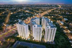 Cielo Seaholdings