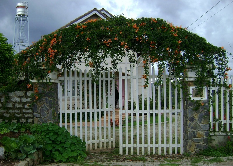 phong thủy cổng nhà