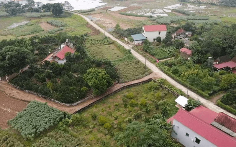 Hỏi đáp về lệ phí chuyển đổi đất trồng cây lâu năm sang đất ở