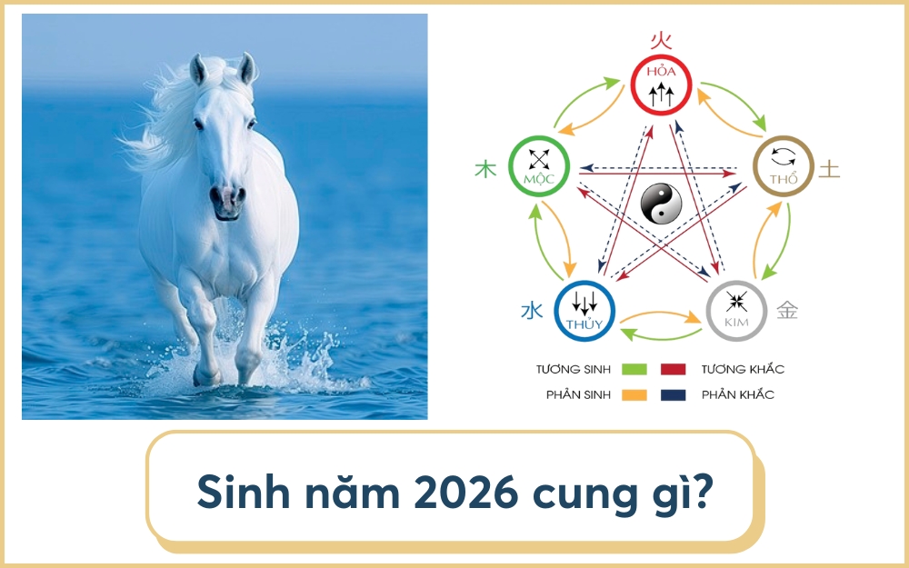 Nam giới tuổi Bính Ngọ là người hoạt bát, nhiệt tình và vui vẻ