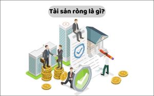 Tài sản ròng là gì? Làm thế nào để tính tài sản ròng của doanh nghiệp?