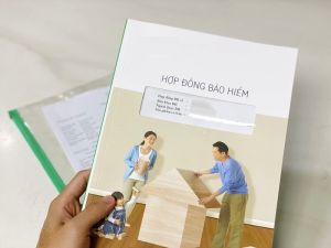 bảo hiểm nhân thọ