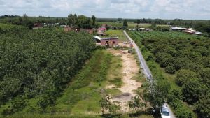 Đất trồng cây lâu năm có được xây nhà không? 5 điều cần biết đất trồng cây lâu năm có được xây nhà không